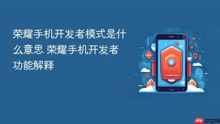 荣耀手机开发者模式是什么意思 荣耀手机开发者功能解释