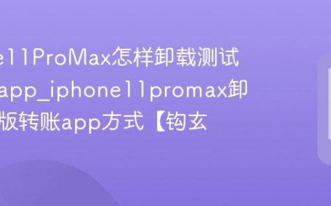 iPhone11ProMax怎样卸载测试版转账app?iphone11promax卸载测试版转账app方式【钩玄】