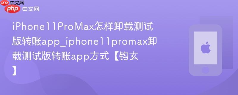iphone11promax怎样卸载测试版转账app_iphone11promax卸载测试版转账app方式【钩玄】
