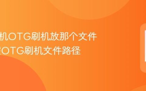 荣耀手机OTG刷机放那个文件夹 荣耀OTG刷机文件路径