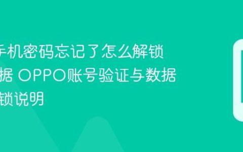 oppo手机密码忘记了怎么解锁保留数据 OPPO账号验证与数据保留解锁说明