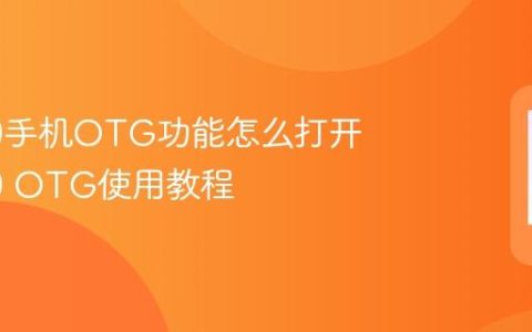 荣耀60手机OTG功能怎么打开 荣耀60 OTG使用教程