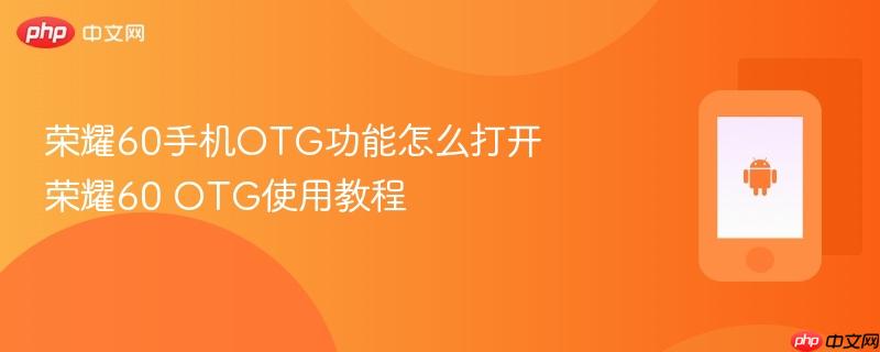 荣耀60手机otg功能怎么打开 荣耀60 otg使用教程