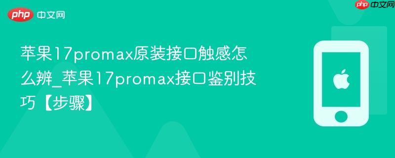 苹果17promax原装接口触感怎么辨_苹果17promax接口鉴别技巧【步骤】