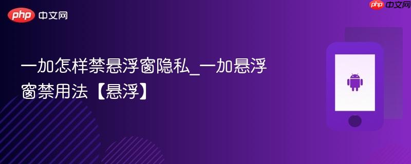 一加怎样禁悬浮窗隐私_一加悬浮窗禁用法【悬浮】