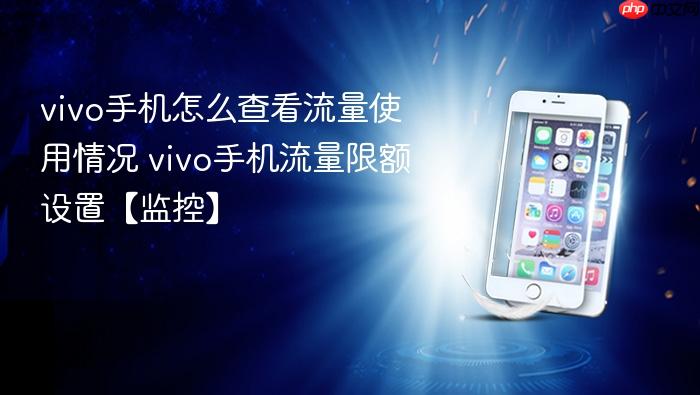 vivo手机怎么查看流量使用情况 vivo手机流量限额设置【监控】