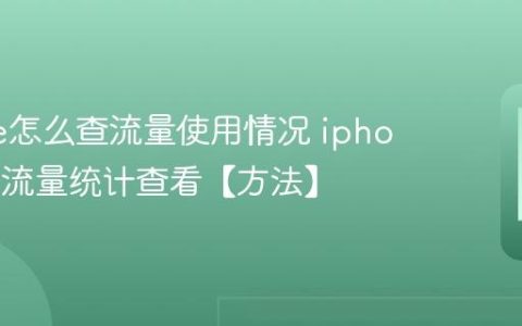 iphone怎么查流量使用情况 iphone数据流量统计查看【方法】