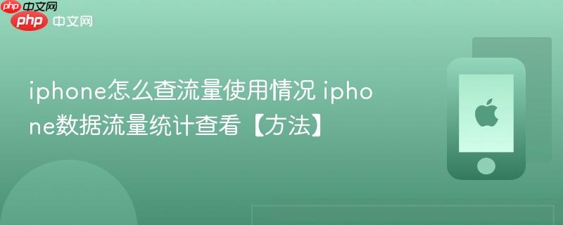 iphone怎么查流量使用情况 iphone数据流量统计查看【方法】