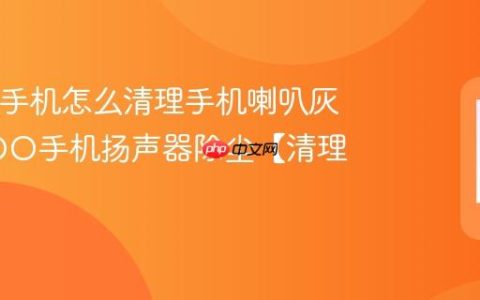 iQOO手机怎么清理手机喇叭灰尘 iQOO手机扬声器除尘【清理】