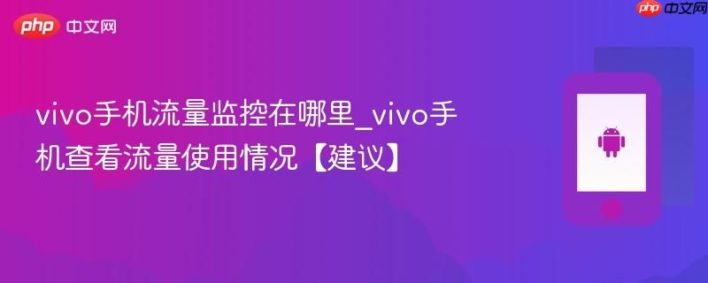 vivo手机流量监控在哪里_vivo手机查看流量使用情况【建议】
