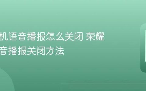 荣耀手机语音播报怎么关闭 荣耀手机语音播报关闭方法