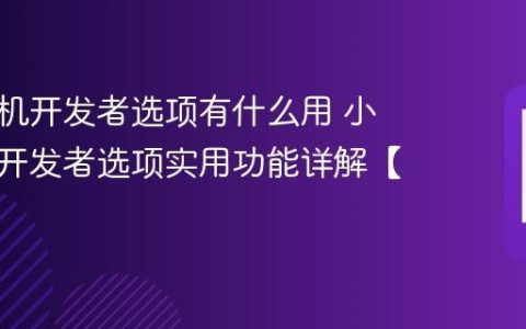 小米手机开发者选项有什么用​ 小米手机开发者选项实用功能详解【步骤】
