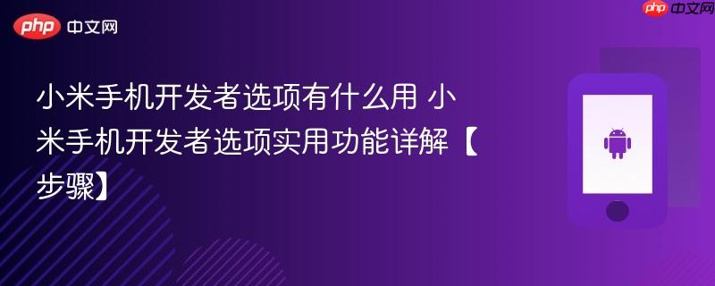 小米手机开发者选项有什么用​ 小米手机开发者选项实用功能详解【步骤】