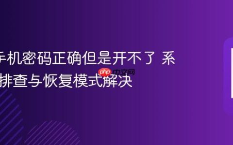 oppo手机密码正确但是开不了 系统异常排查与恢复模式解决