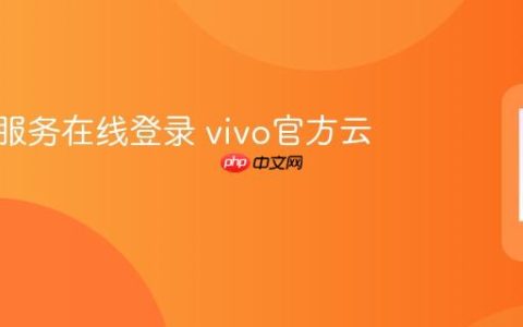 vivo云服务在线登录 vivo官方云端管理
