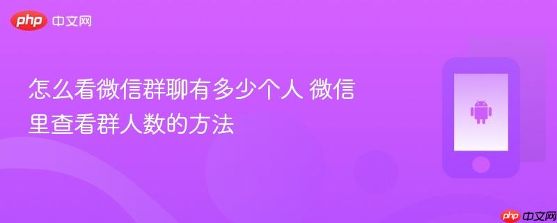 怎么看微信群聊有多少个人 微信里查看群人数的方法