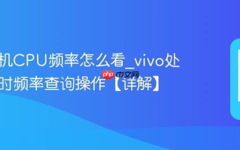 vivo手机CPU频率怎么看?vivo处理器实时频率查询操作【详解】