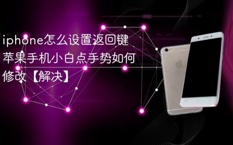 iphone怎么设置返回键 苹果手机小白点手势如何修改【解决】