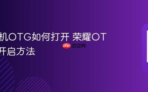 荣耀手机OTG如何打开 荣耀OTG快速开启方法