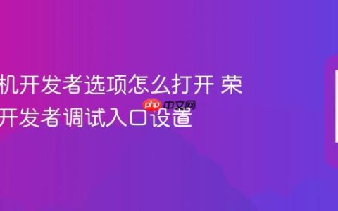 荣耀手机开发者选项怎么打开 荣耀手机开发者调试入口设置