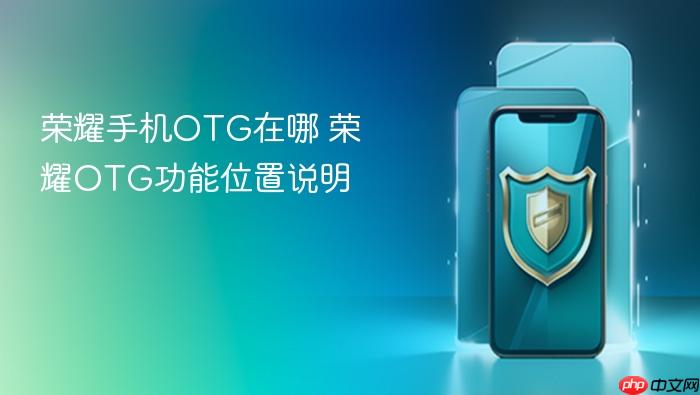 荣耀手机otg在哪 荣耀otg功能位置说明