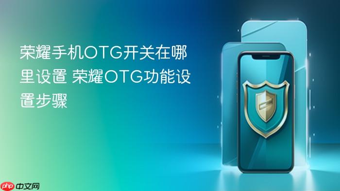 荣耀手机otg开关在哪里设置 荣耀otg功能设置步骤