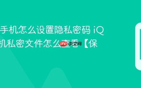 iQOO手机怎么设置隐私密码 iQOO手机私密文件怎么查看【保密】