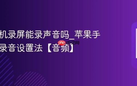 苹果手机录屏能录声音吗?苹果手机录屏录音设置法【音频】