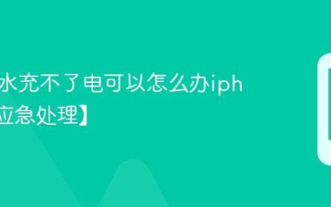 手机进水充不了电可以怎么办iphone【应急处理】