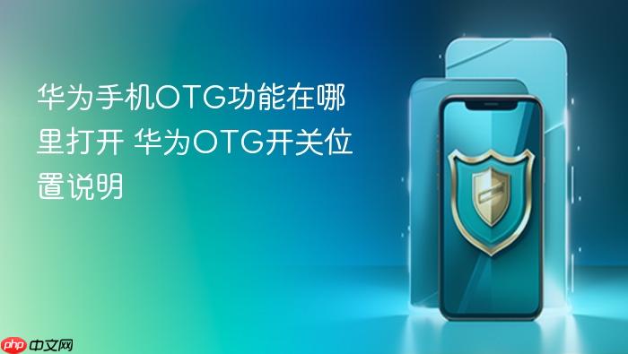 华为手机otg功能在哪里打开 华为otg开关位置说明