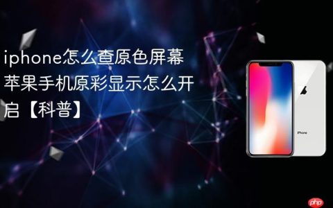 iphone怎么查原色屏幕 苹果手机原彩显示怎么开启【科普】
