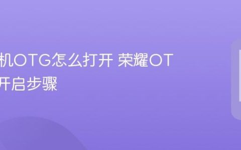 荣耀手机OTG怎么打开 荣耀OTG功能开启步骤