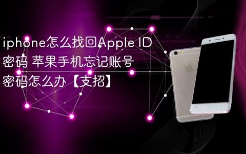 iphone怎么找回Apple ID密码 苹果手机忘记账号密码怎么办【支招】