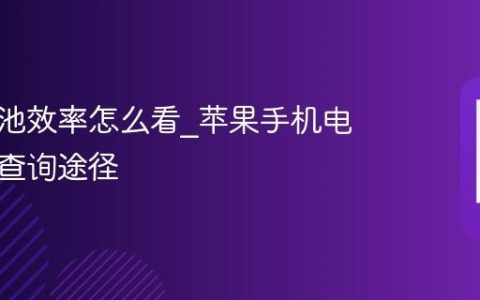 苹果电池效率怎么看?苹果手机电池效率查询途径