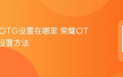 荣耀的OTG设置在哪里 荣耀OTG开关设置方法