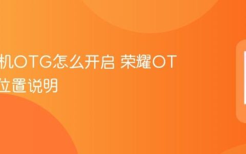 荣耀手机OTG怎么开启 荣耀OTG开关位置说明