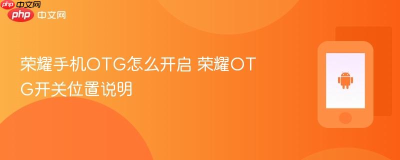 荣耀手机otg怎么开启 荣耀otg开关位置说明