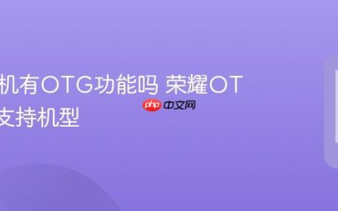 荣耀手机有OTG功能吗 荣耀OTG功能支持机型