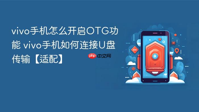 vivo手机怎么开启otg功能 vivo手机如何连接u盘传输【适配】