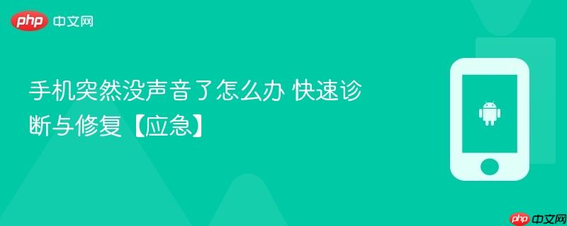 手机突然没声音了怎么办 快速诊断与修复【应急】