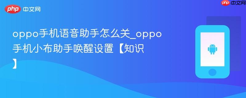 oppo手机语音助手怎么关_oppo手机小布助手唤醒设置【知识】