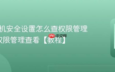 vivo手机安全设置怎么查权限管理?vivo权限管理查看【教程】