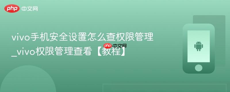 vivo手机安全设置怎么查权限管理_vivo权限管理查看【教程】