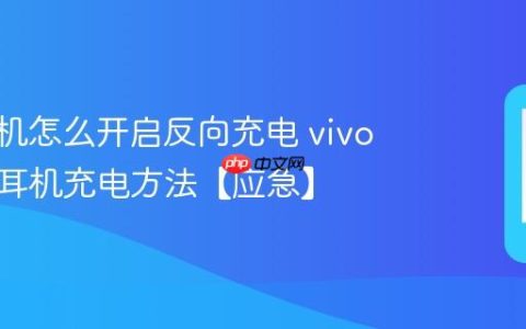 vivo手机怎么开启反向充电 vivo手机给耳机充电方法【应急】