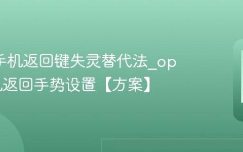 oppo手机返回键失灵替代法?oppo手机返回手势设置【方案】