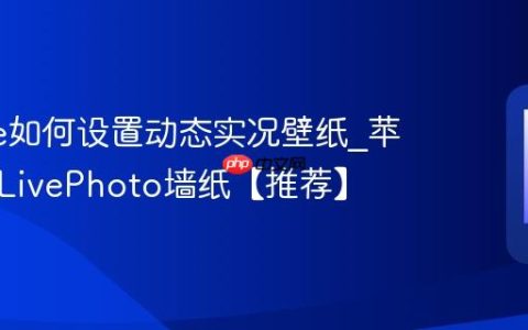 iphone如何设置动态实况壁纸?苹果手机LivePhoto墙纸【推荐】