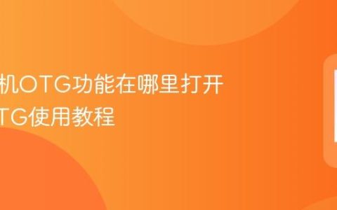 荣耀手机OTG功能在哪里打开 荣耀OTG使用教程