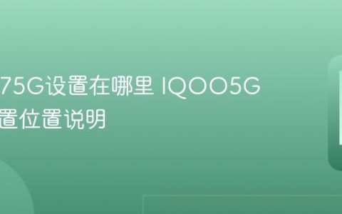 IQOO75G设置在哪里 IQOO5G网络设置位置说明