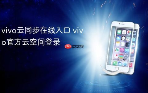 vivo云同步在线入口 vivo官方云空间登录