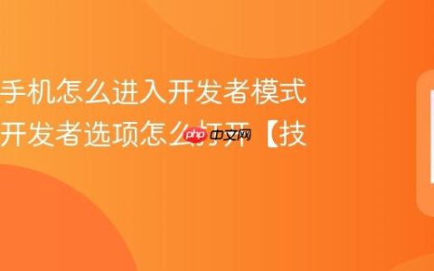 iQOO手机怎么进入开发者模式 iQOO开发者选项怎么打开【技巧】